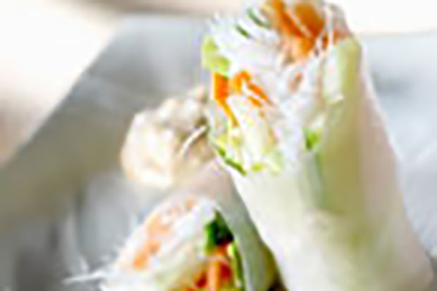 Vietnamese BBQ Chicken Rolls