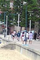 Walking Paths - Manly Beach Sydney